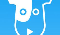 牛牛视频下载,轻松获取海量视频资源攻略